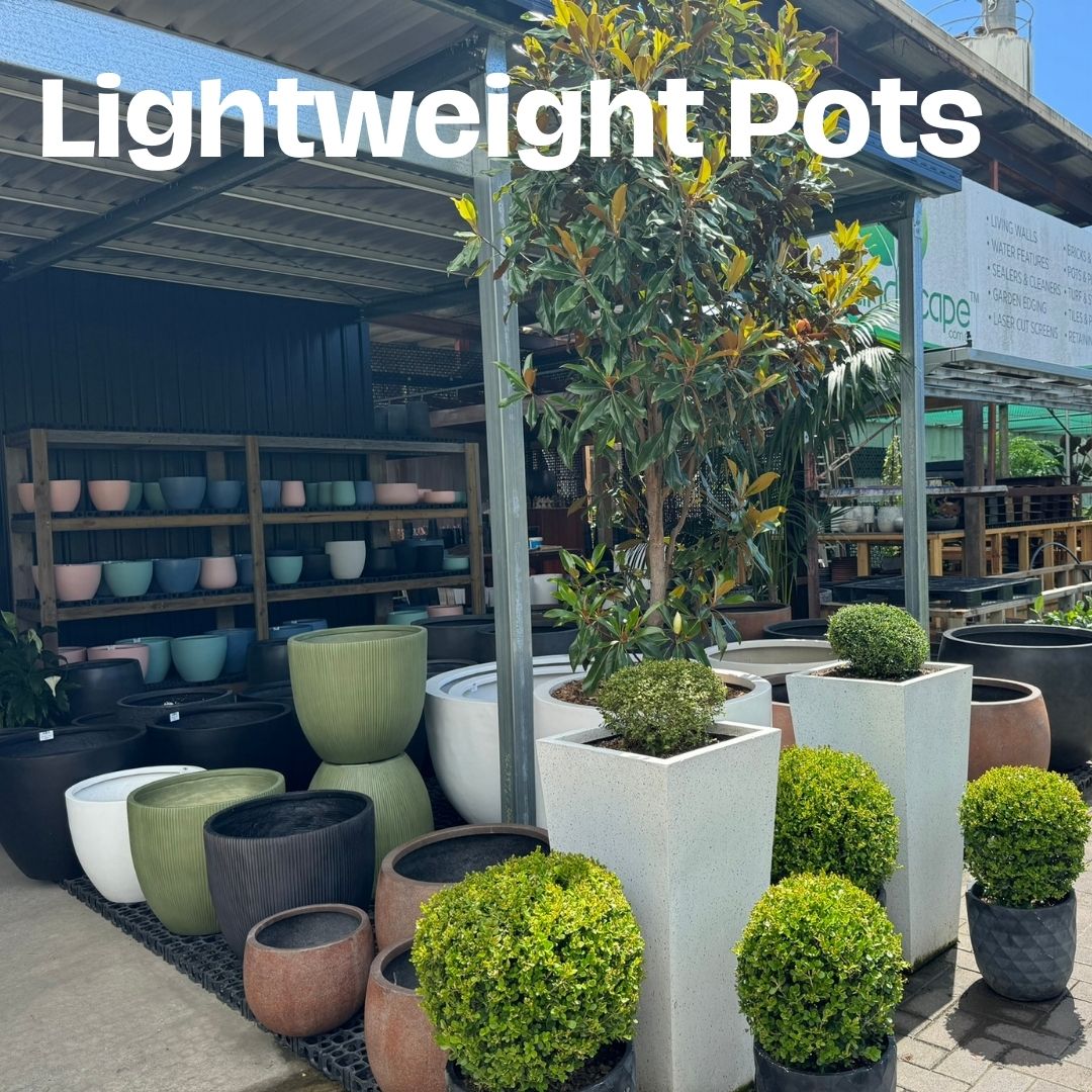 Lightweight Pots Sunshine Coast Sunshine Coast Nursery & Garden Centre