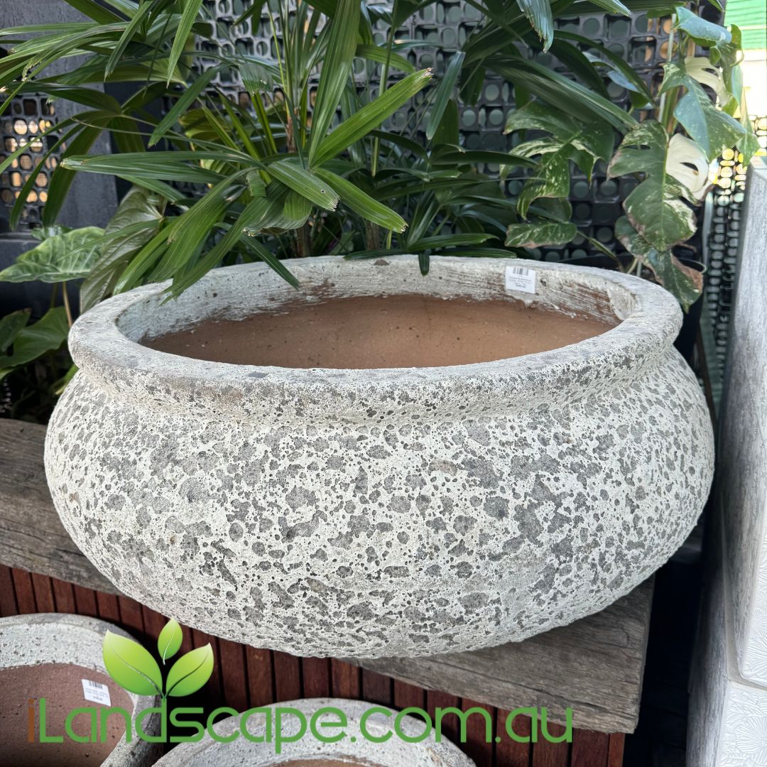plant pot shallow Ancient Shallow Bowl – Sunshine Coast Nursery & Garden Centre