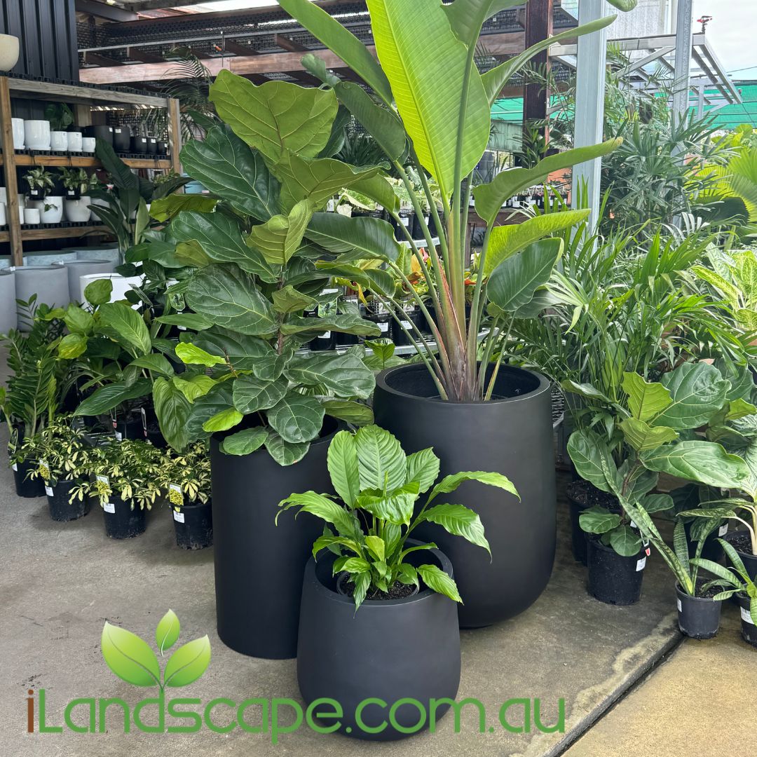 Tall Cylinder Planter Pot