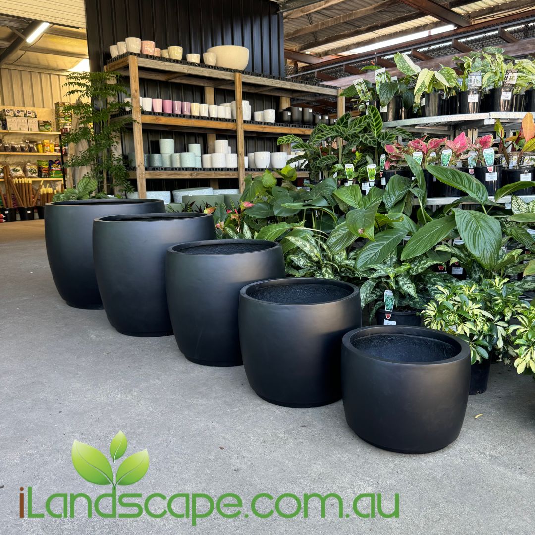 large black pot for plants Cask Planter Pot