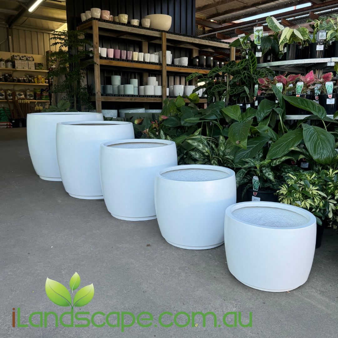 Cask Planter Pot