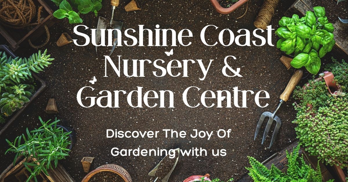 Order Plants online and have them Delivered Sunshine Coast Nursery