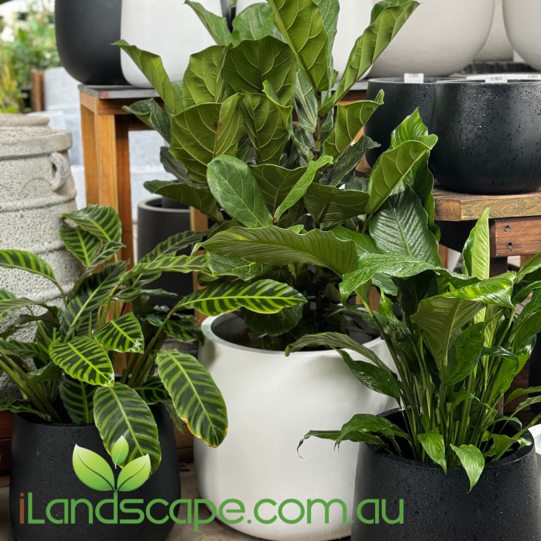 Duffel Planter Pot - Also known as Seabreeze Pot