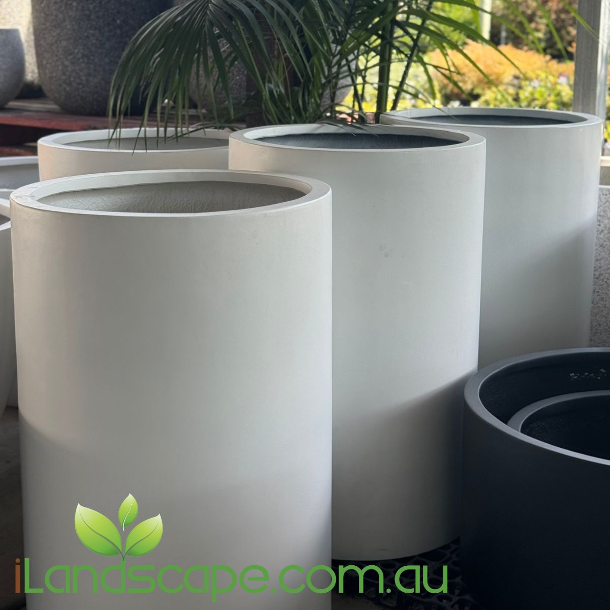 Tall Cylinder Planter Pot