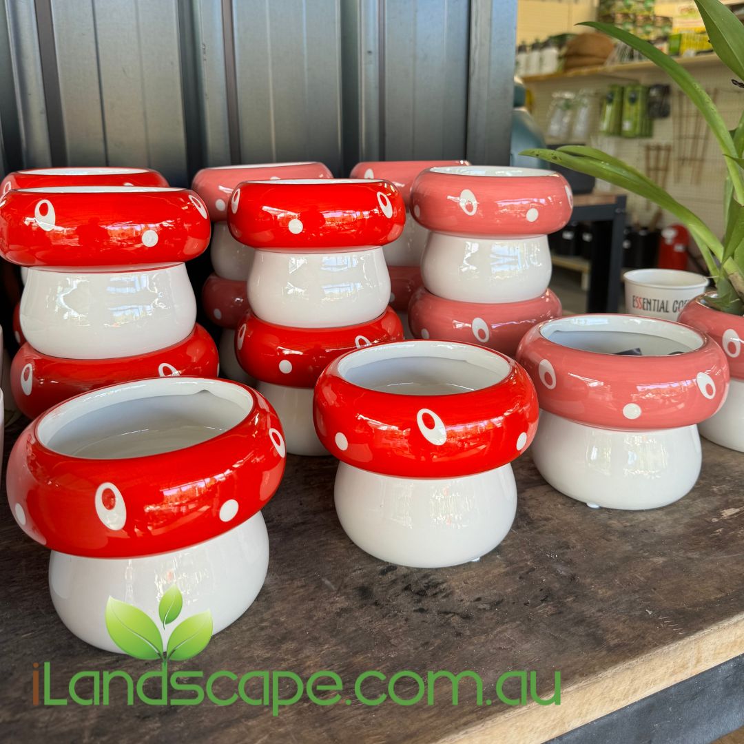 Mushroom Pot