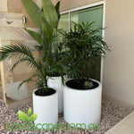 Tall Cylinder Planter Pot
