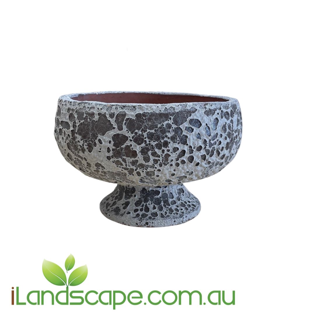 Ancient Champagne Bowl