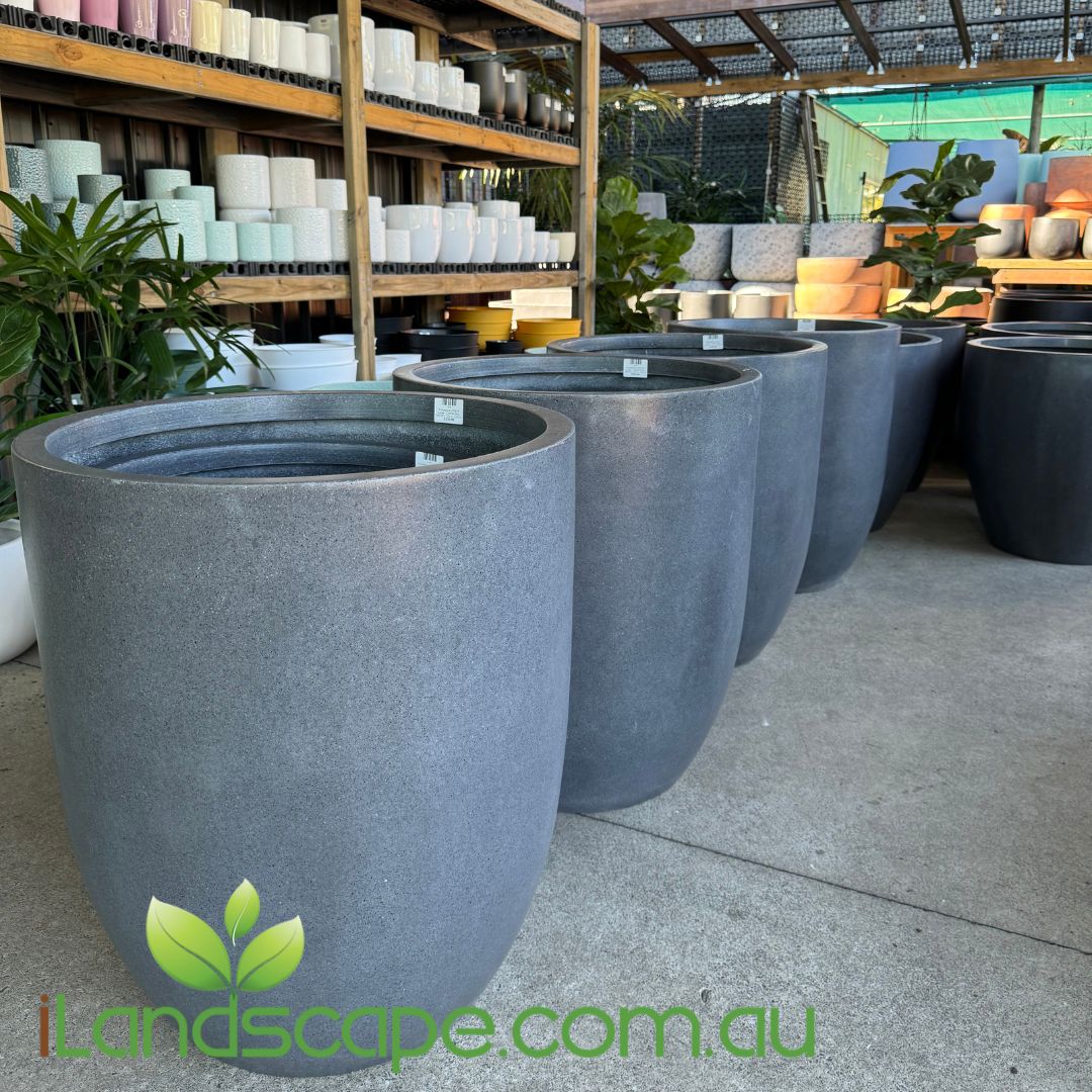 plant pots au Chambers U Pot – Sunshine Coast Nursery & Garden Centre