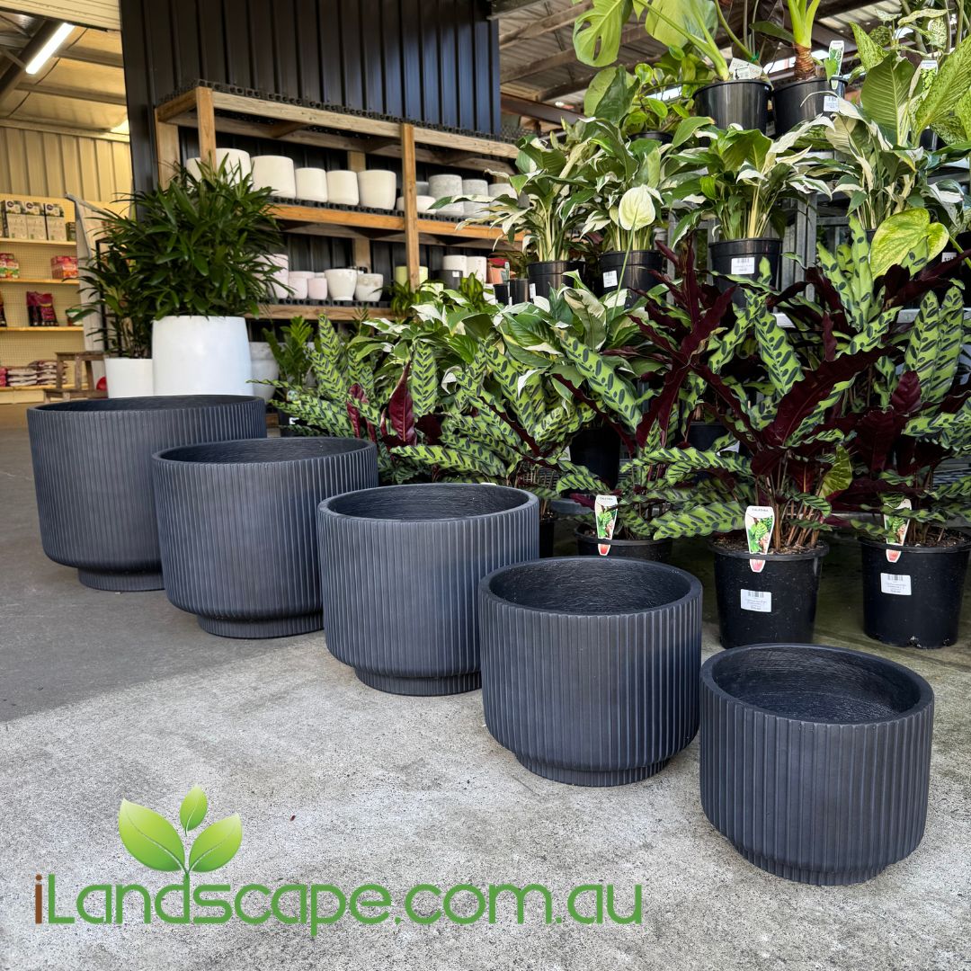 Black ribbed planters in a garden center with plants and shelves in the background, featuring iLandscape.com.au logo.
