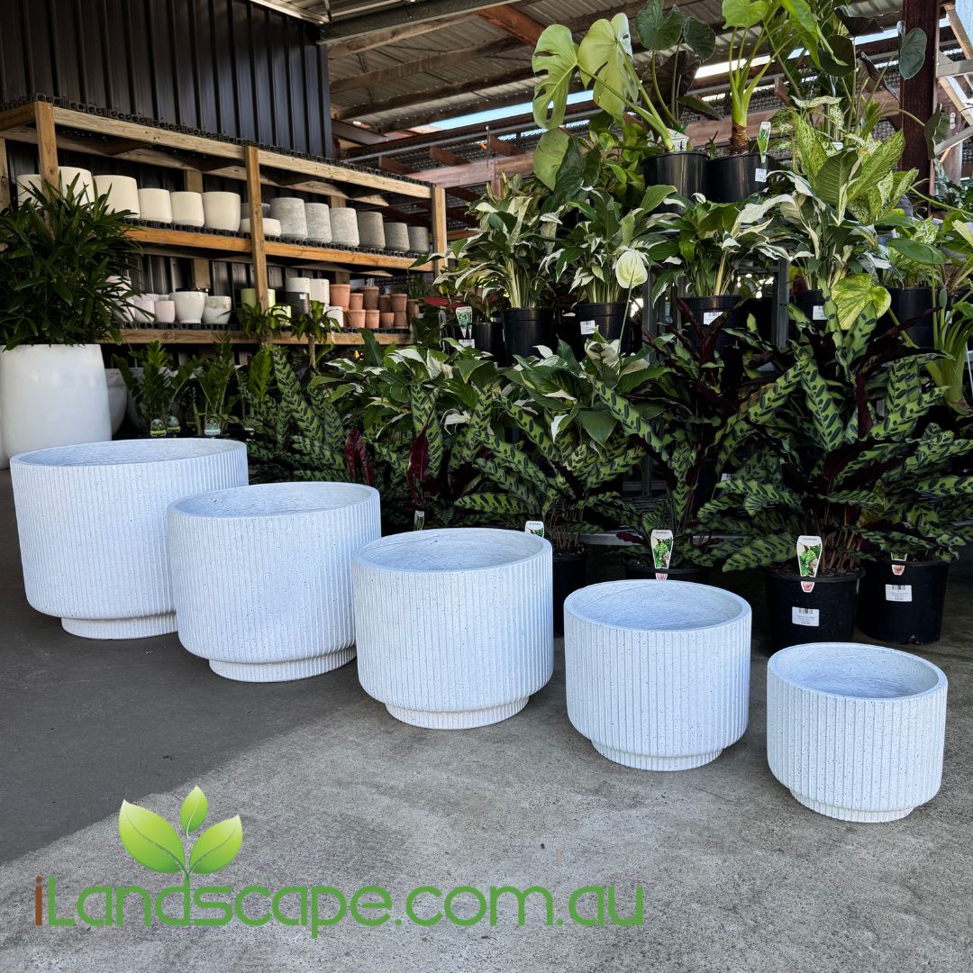 White ribbed planters on a concrete floor with plants and shelves in the background, featuring the brand 'Landscape.com.au'.