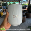 Falun indoor Pot