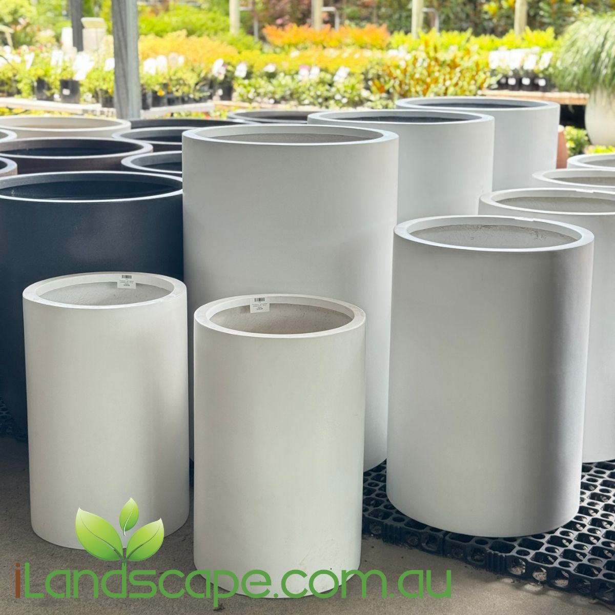Tall Cylinder Planter Pot
