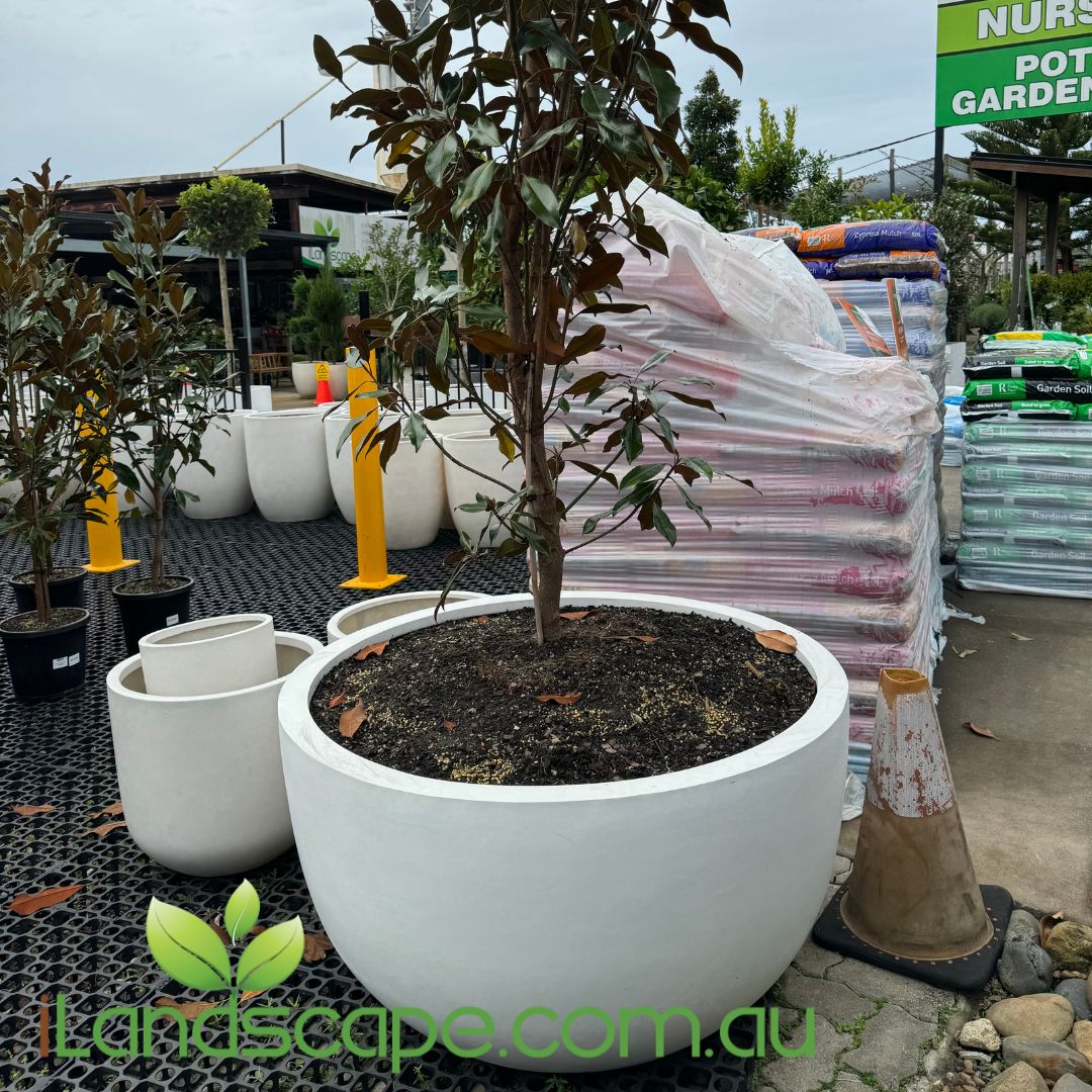 plant pots melbourne Fibrestone Pond Pot Planter Bowl