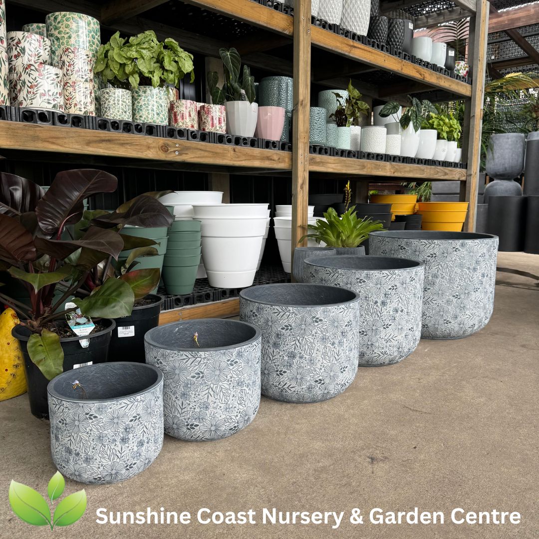 Lightweight Pots Sunshine Coast Sunshine Coast Nursery & Garden Centre