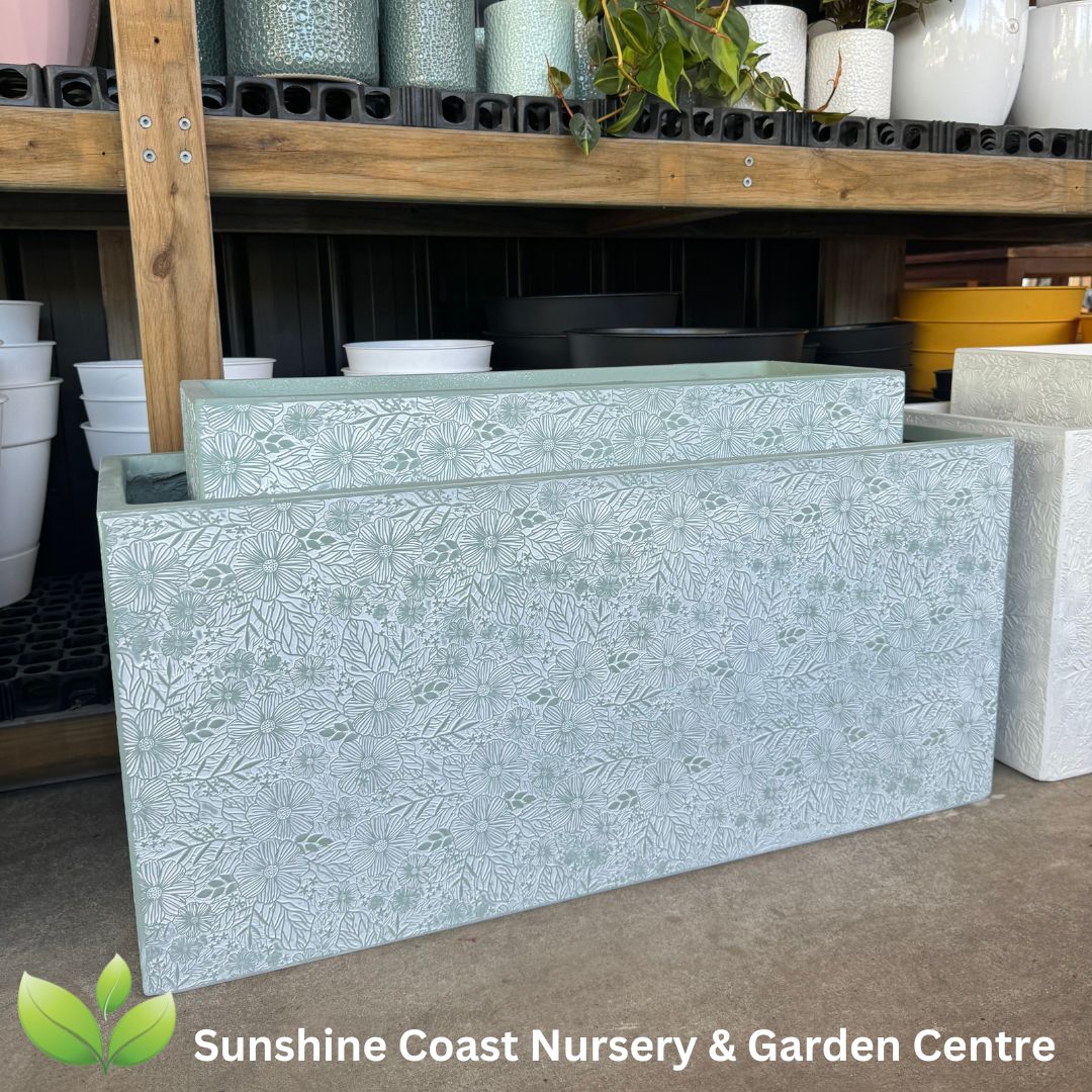 Lightweight Pots Sunshine Coast Sunshine Coast Nursery & Garden Centre