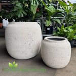 Fossil Rotund Planter in Ivory
