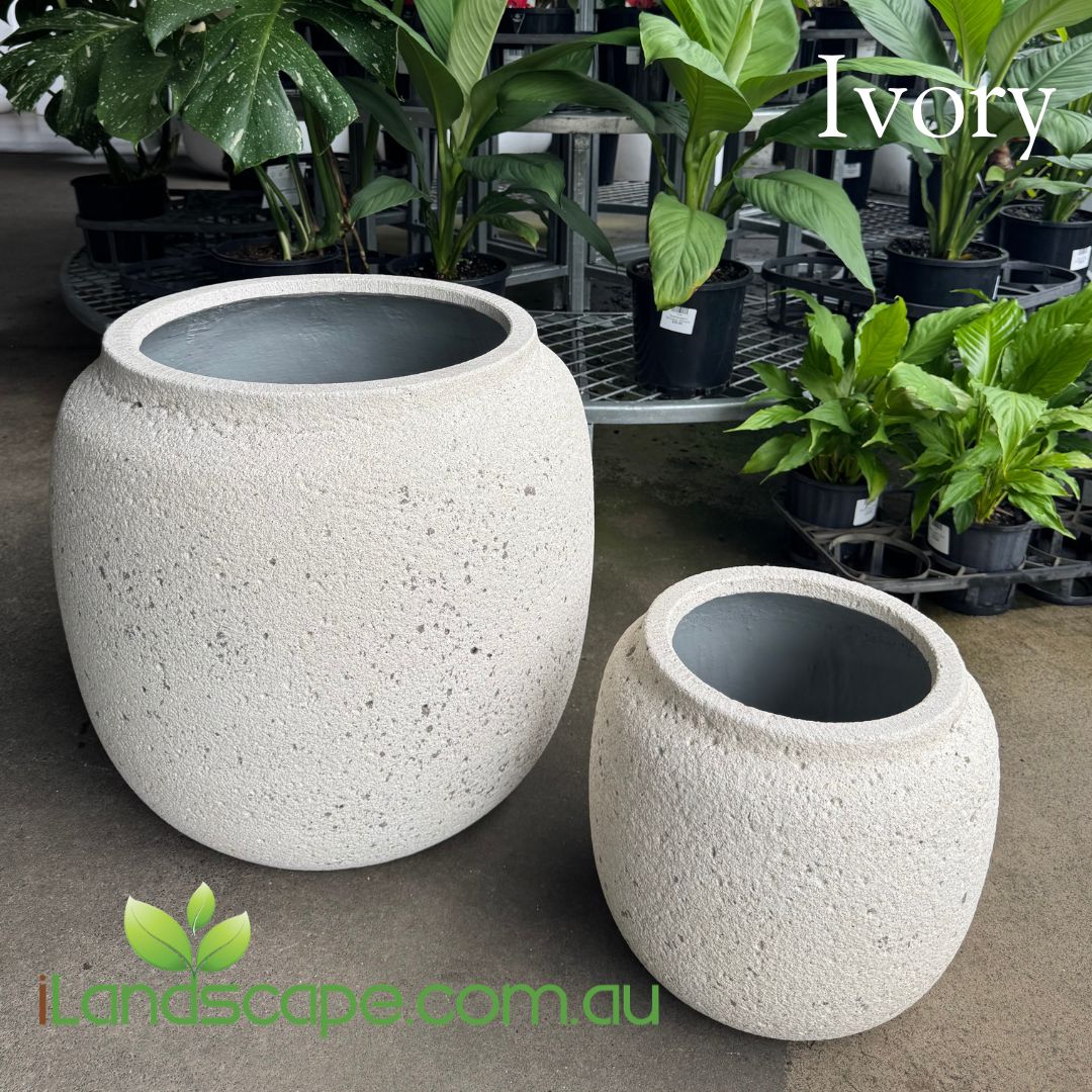Premium lightweight Fossil Rotund Planter