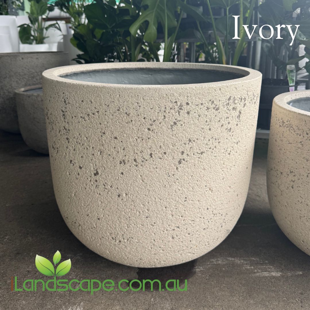 Fossil U Planter in Fossil Ivory