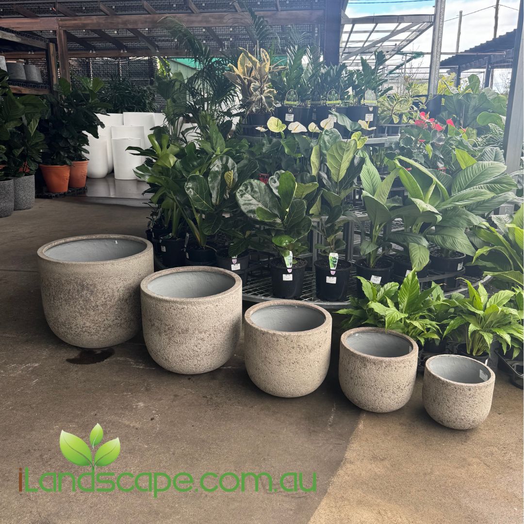 Five round concrete planters in varying sizes arranged on a concrete floor in a greenhouse or nursery setting, surrounded by potted green plants. A green 'iLandScape.