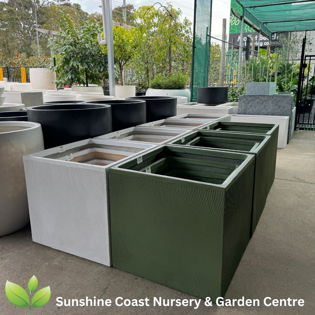 The Sunshine Coast Nursery and Garden Centre Caloundra Sunshine — free download