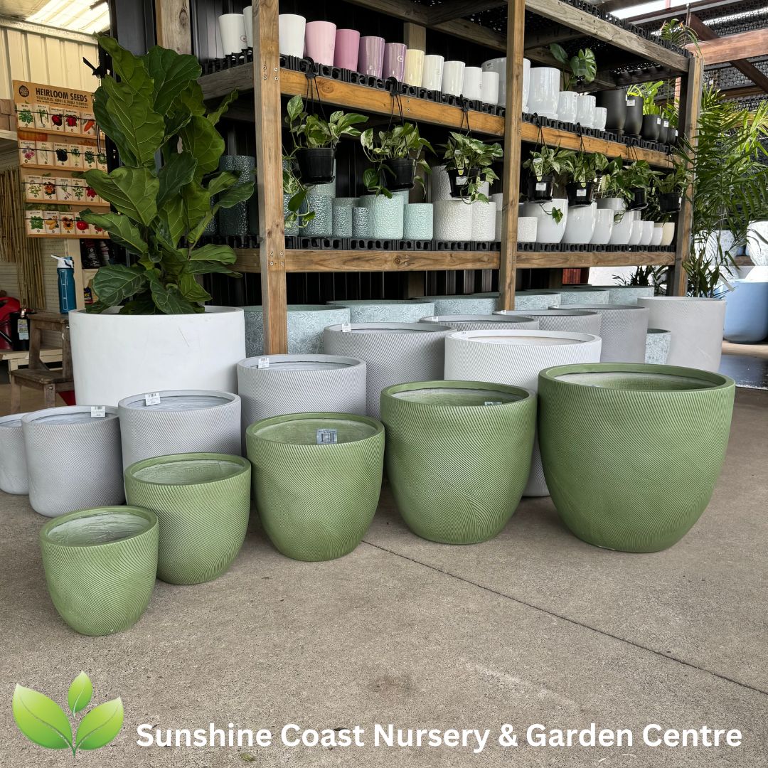 Helix Egg Planter Pot Sunshine Coast Nursery & Garden Centre