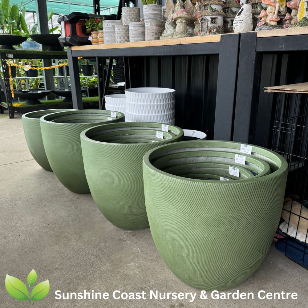 Helix Egg Planter Pot Sunshine Coast Nursery & Garden Centre