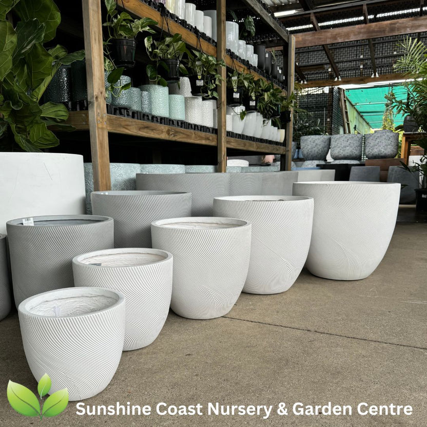 Helix Egg Planter Pot Sunshine Coast Nursery & Garden Centre