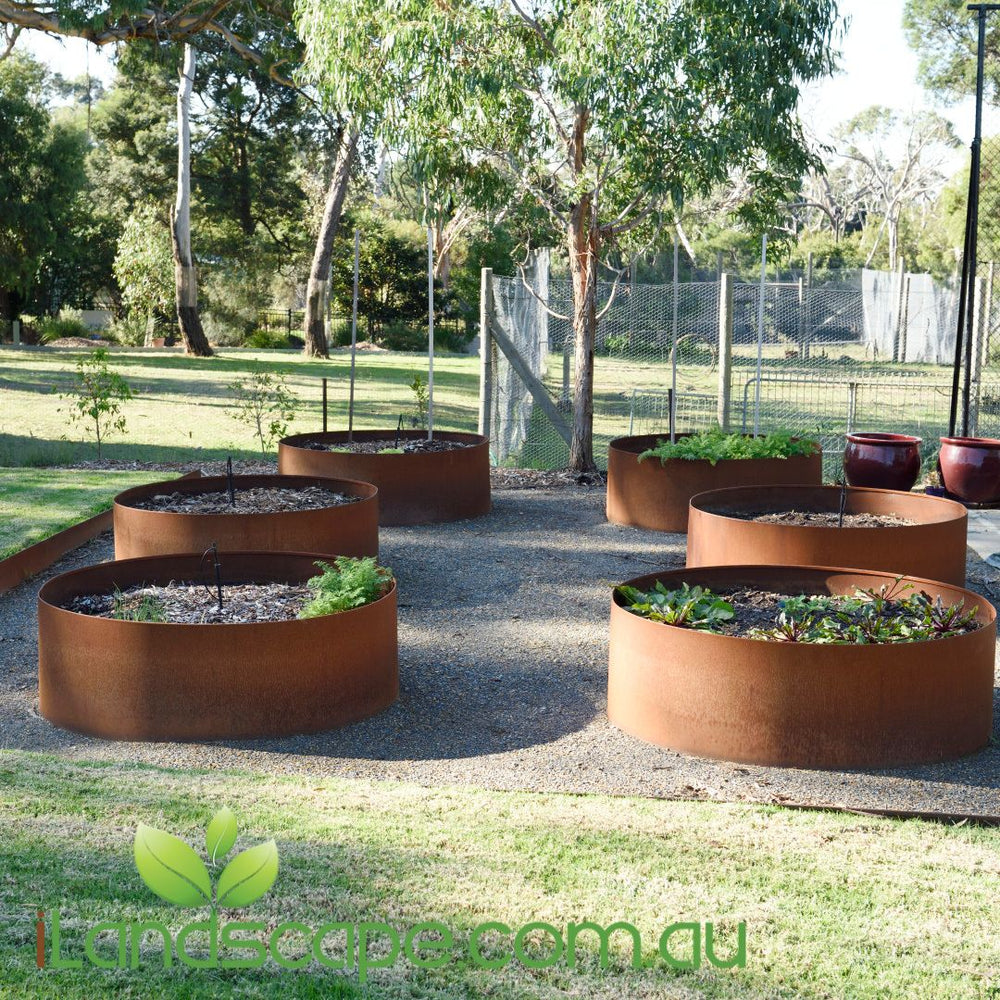 Redcor D Rings Redcor Steel Rings - 1530mm Diameter – Sunshine Coast Nursery & Garden ...