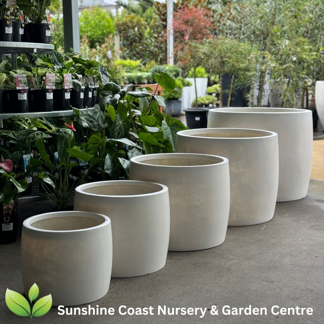 Lightweight Pots Sunshine Coast Sunshine Coast Nursery & Garden Centre