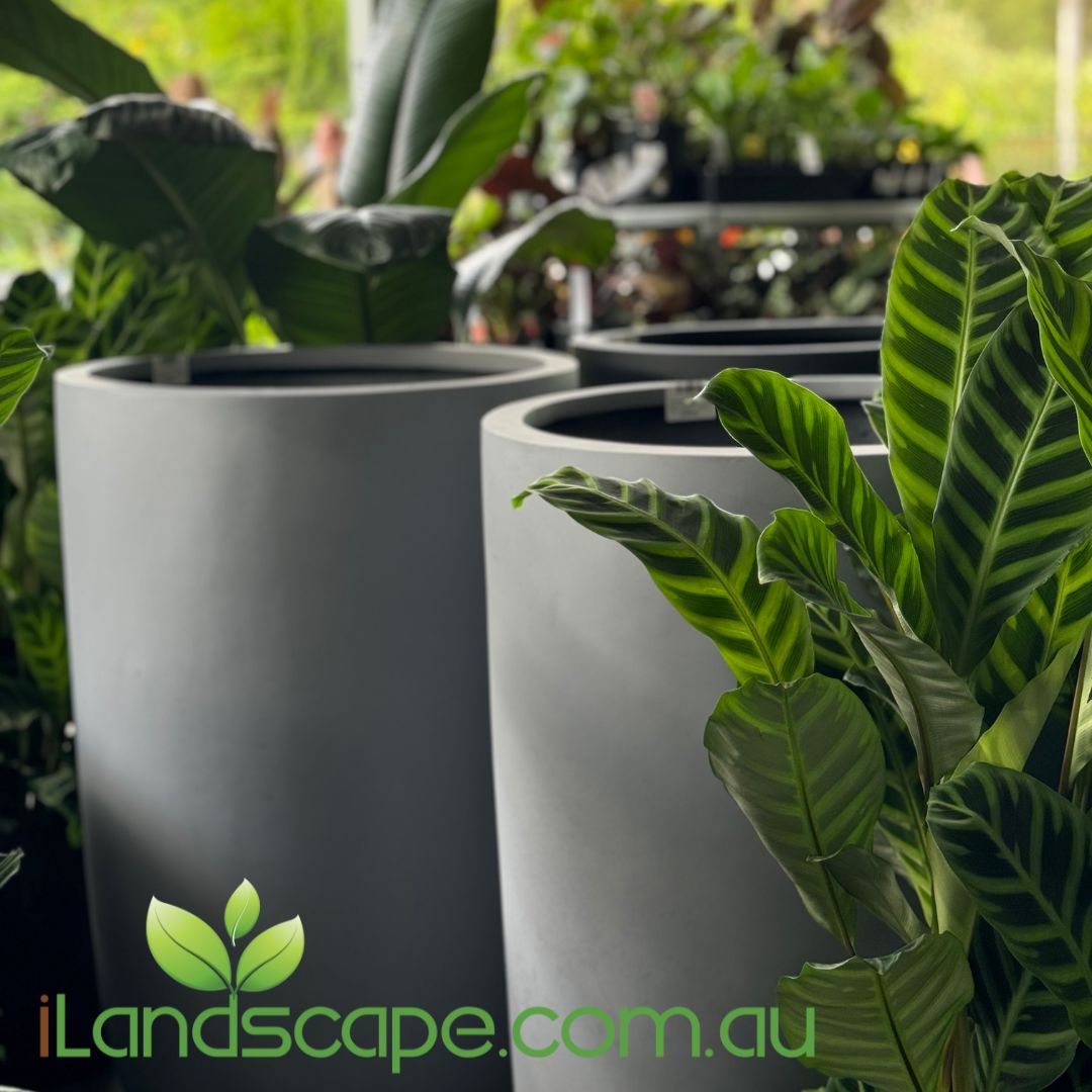 Tall Round Tube Planter Pot - Also known as Sandhaven