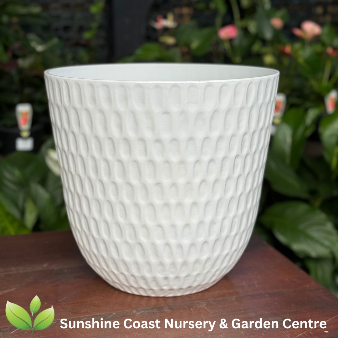Taormina Light Weight Pot