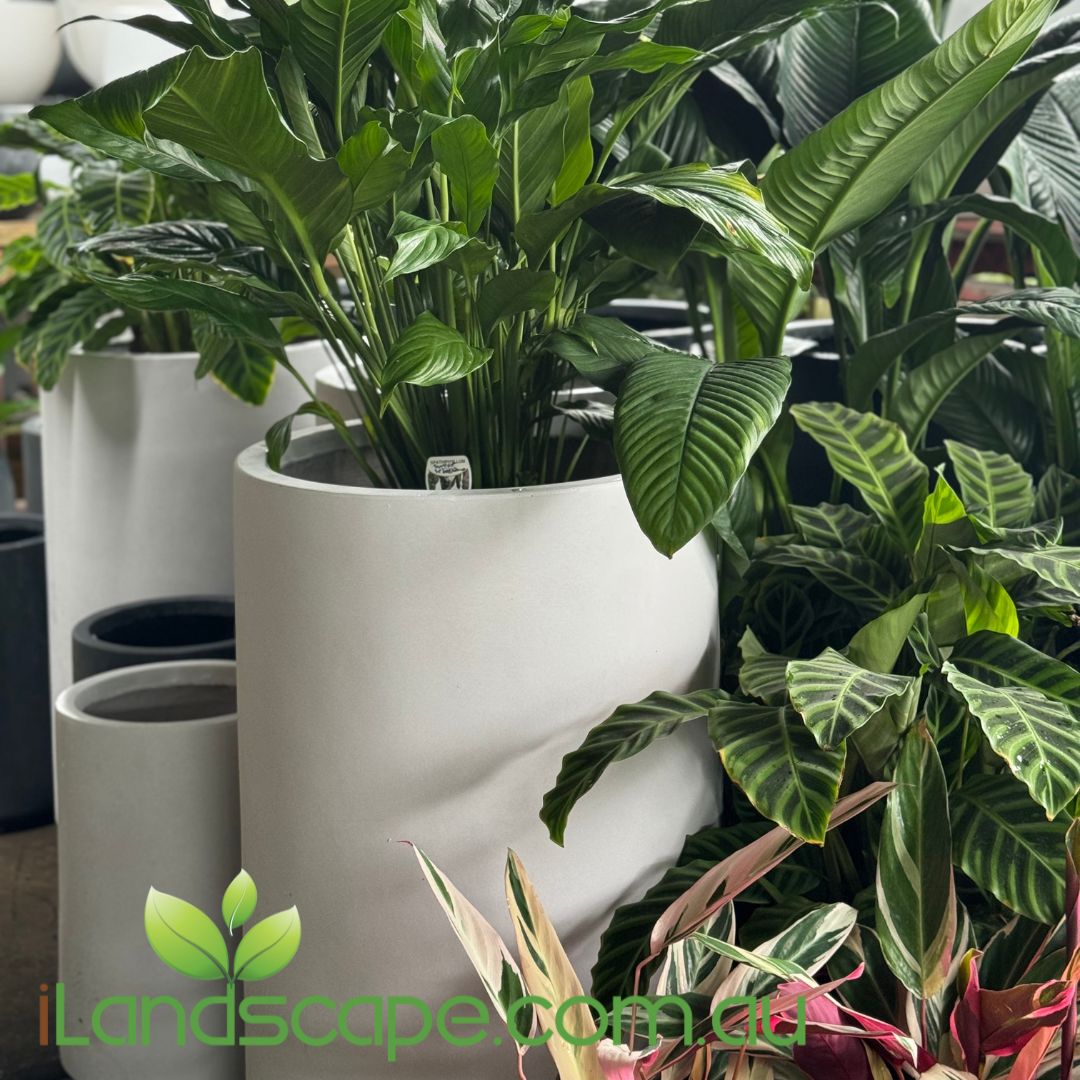 Vogue Tall Planter Pot