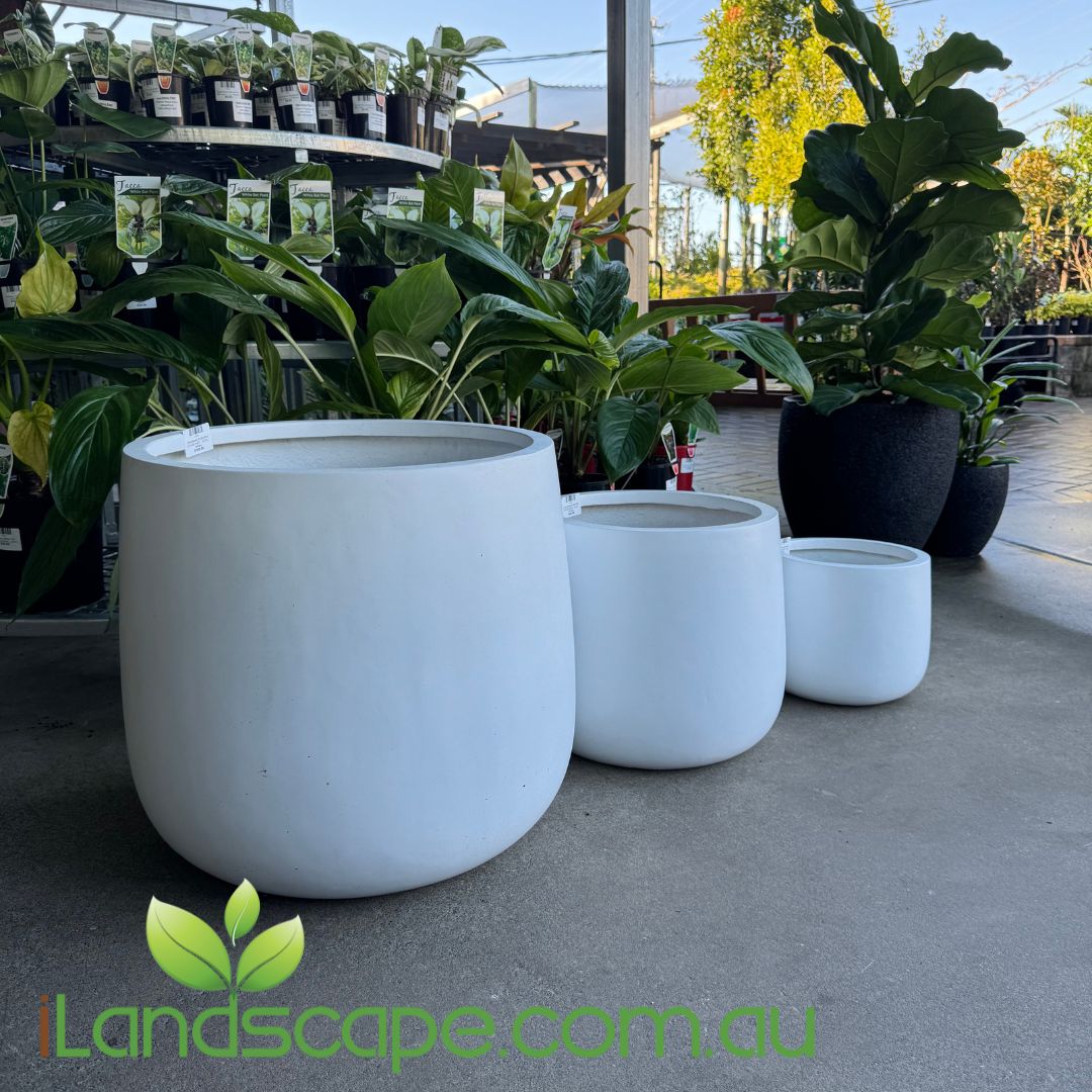 The Sunshine Coast Nursery and Garden Centre Caloundra Sunshine