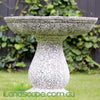 Ancient Bird Bath