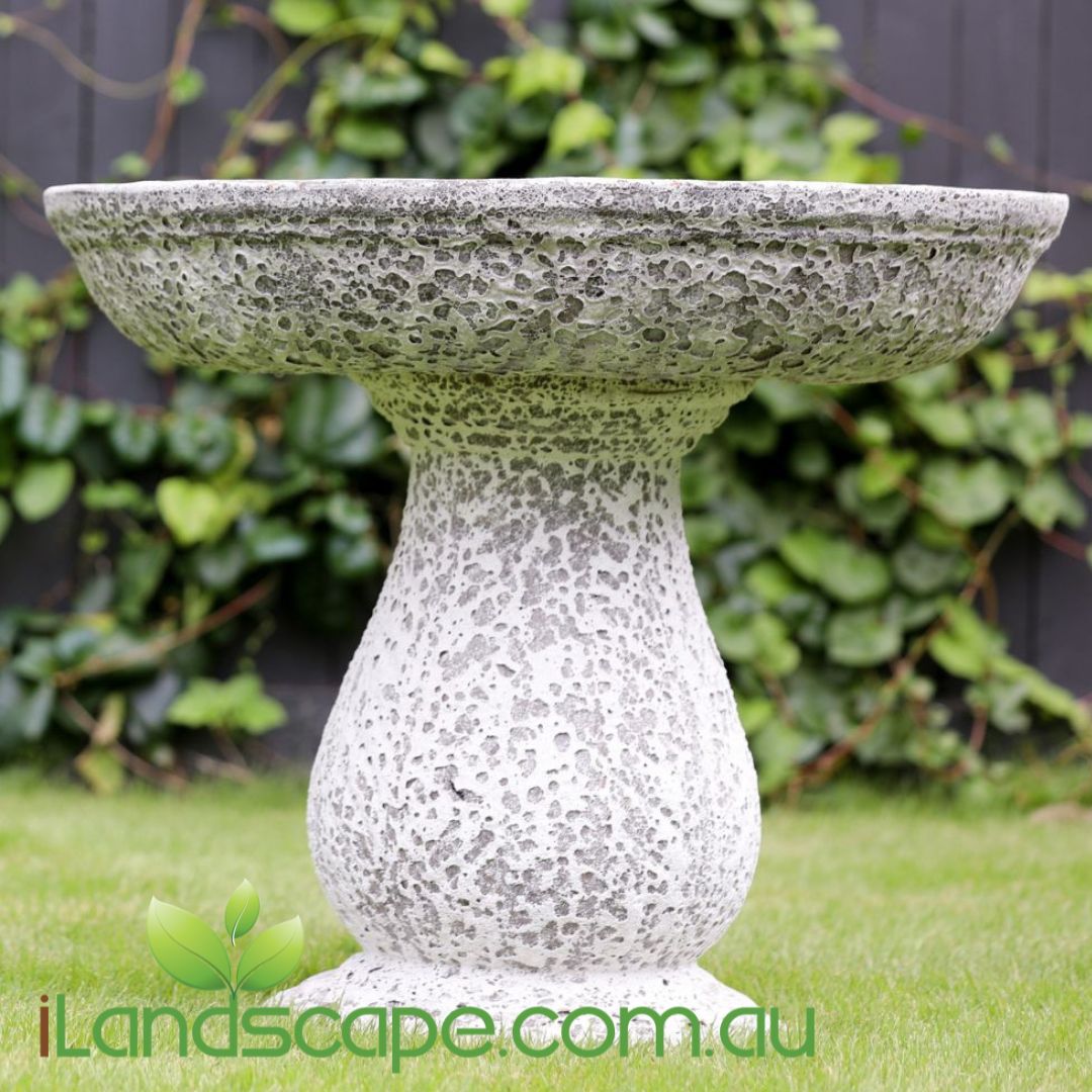 Ancient Bird Bath