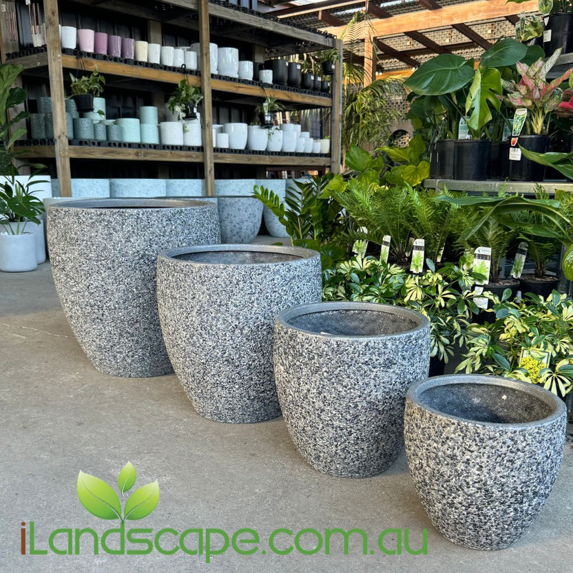 The Sunshine Coast Nursery and Garden Centre Caloundra Sunshine